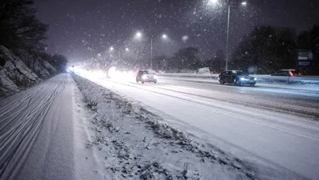 iStock-1484491006_low_fix.jpg.