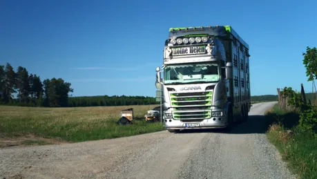 Djurtransport (1).png.